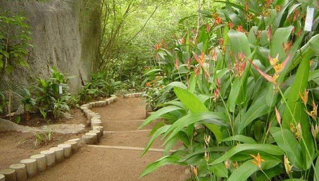 Botanical garden paths