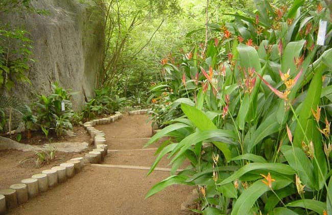 Tour por el Jardín Botánico de Acapulco - Foto 3