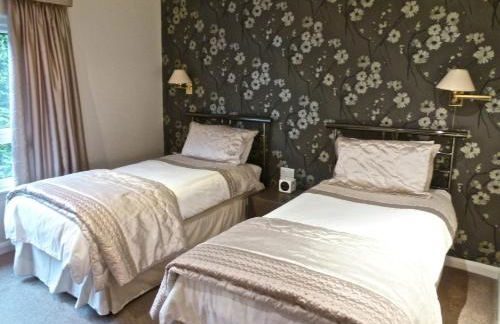 Badgers Rake 12 Squirrels Nest - Foto 8