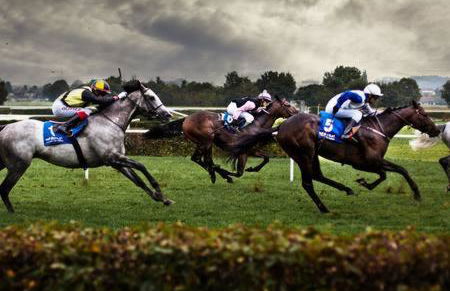 Providence Cottage a Sussex boutique retreat for two - Foto 51