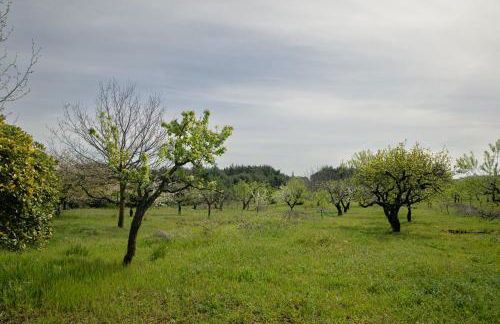 Casina al Castello - Natura e Relax - Foto 25