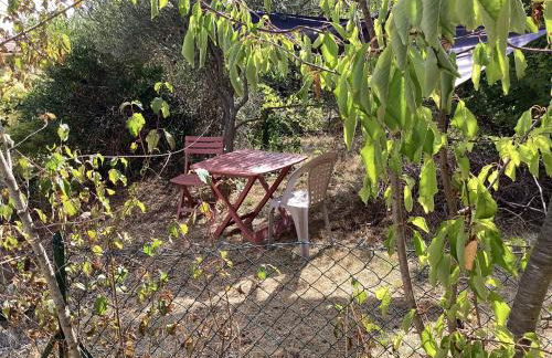 196 rue des moulins - Foto 44