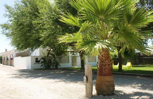 APARTAMENTO BEDANDBEACH - Foto 24