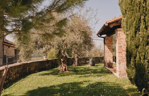 Dreamhill Meloni - Foto 65