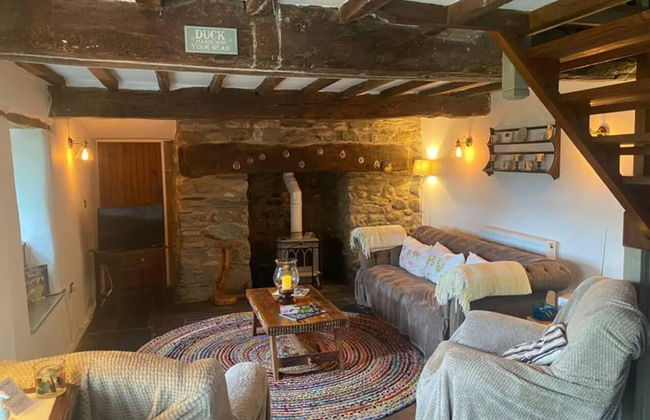 Idlewild Animal Sanctuary Farmhouse Stay - Charity - Photo 12