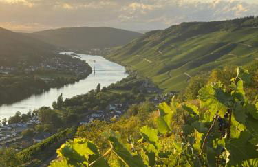 Apartment an der Mosel 1 - Foto 13