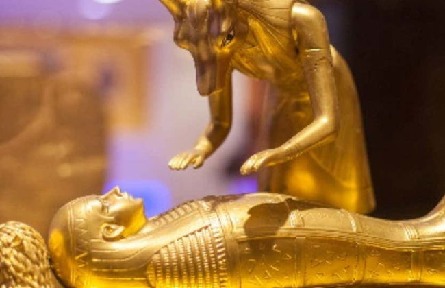 Biglietti per il Museo Egizio di Canela - Foto 8