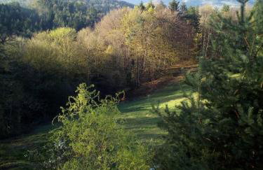 Agroturystyka Millerówka - Photo 29