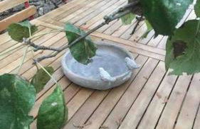 House Four Castles View - A whole House for you!! - Foto 13