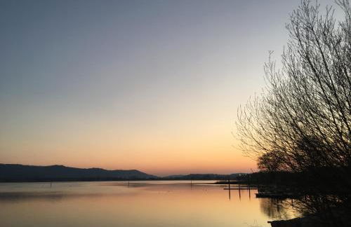 Ferienwohnung im Zentrum - Photo 5