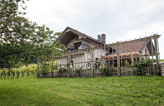 Vineyard cottage Radulja - Photo 13