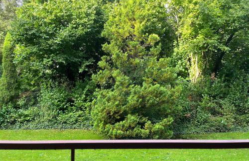 61qm - Sehr schöne vollmöblierte Wohnung in Herzogenrath - Foto 18