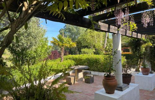 Villa das Vinhas - Photo 13