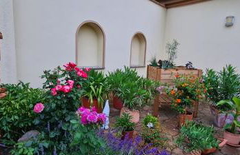 Die Ferienwohnung "Am Kietz" - Photo 28