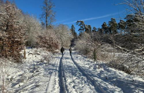 Wellness und Wander Oase Burgwald - Foto 69