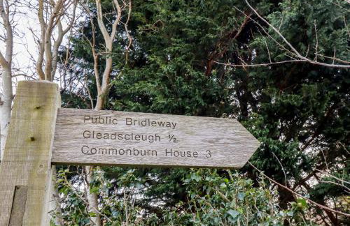 Bizzie Lizzie - Photo 56