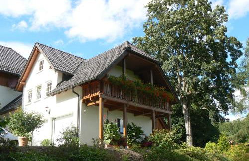 Naturidylle Vogtland - Erholsame Ferienwohnungen im Grünen - Foto 36