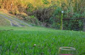 Chalé Laranja - Sítio Caldeirão - Foto 46