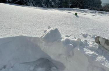 Sowi Sierp Domek w Górach Sowich - Foto 2