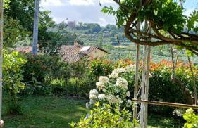 Borghetto Sant’Angelo - Foto 24