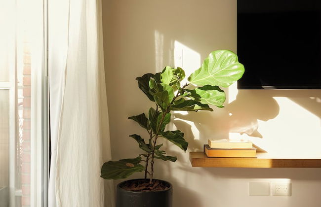 Hestia at Cabrera 3200 - Foto 5