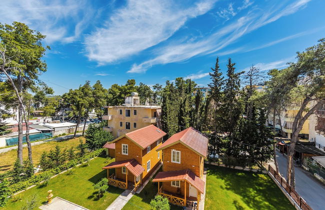 Mabel - The Rooftop Experience - Photo 14