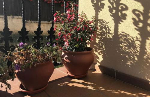 El Rincón de la Mimosa - Foto 15