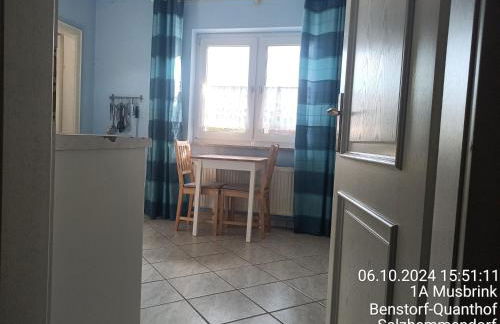 exklusives lichtdurchflutetes Apartment incl Gästegarten umzäunt - Foto 6