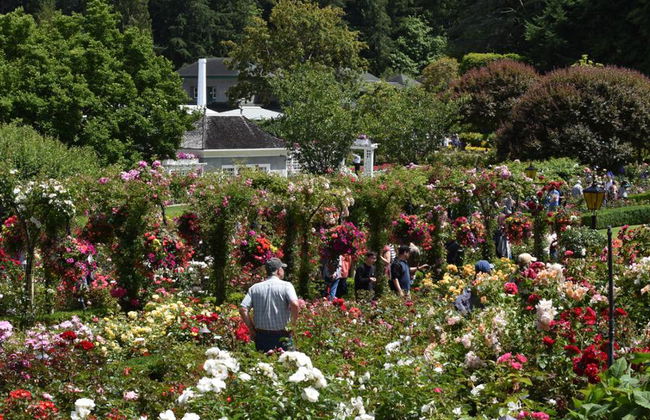 Jardines de Victoria y Butchart - Foto 14