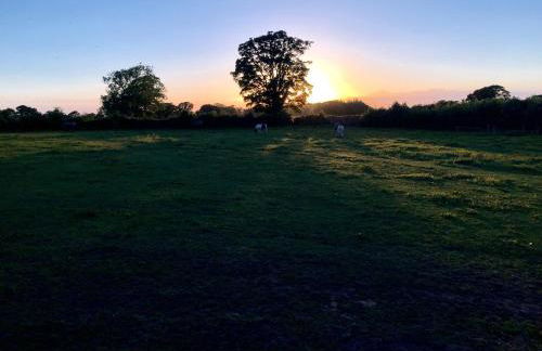 The Nook Cottage - Foto 40