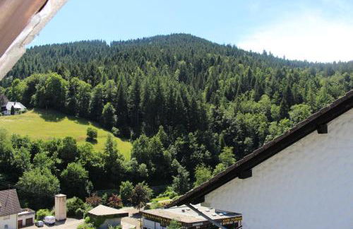 Ferienwohnung Schwarzwaldblick - Photo 15