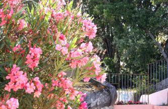 Residence a Licetta - Foto 69