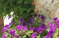 Borgo al Cielo - Albergo Diffuso - Foto 13