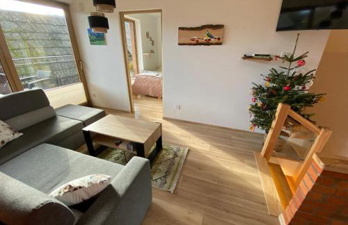 Apartamenty Cicha Dolina - Foto 50