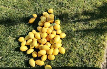 Quinta de Travassinhos- Douro Valley & Spa - Photo 46