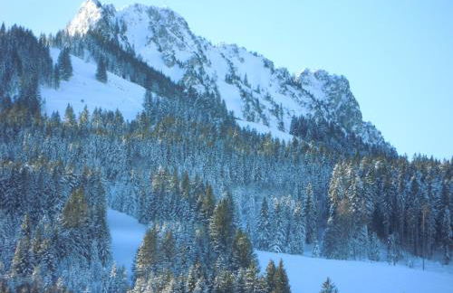 Fewo Wertachliebe - Photo 16