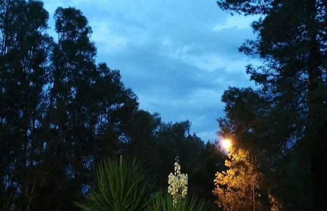 Terme Acqua Pia Wellness & SPA - Foto 33