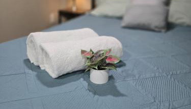 The Nook Suite - Photo 4