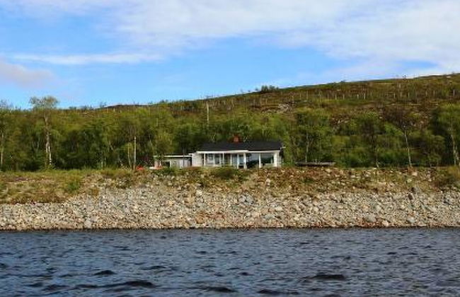 Karetörmä - Foto 5