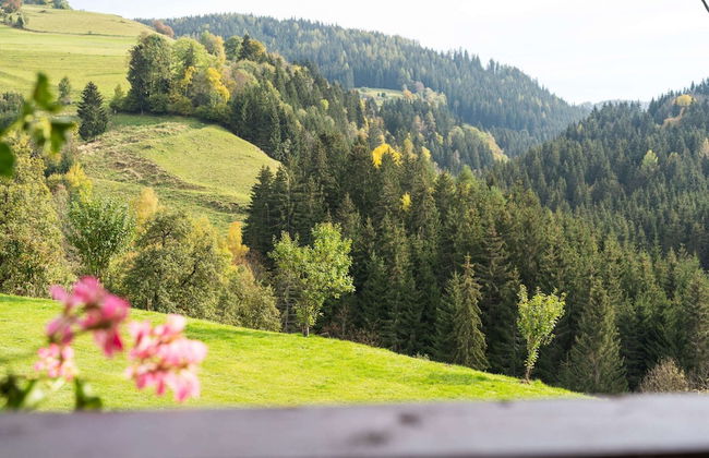 Chalet in Eberstein Near Saualpe Ski - Foto 45