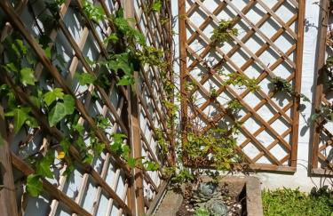 Casa do Moinho de Vento - Photo 20