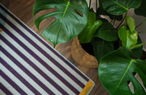 Apartment in Weinstadt-Schnait - Foto 15