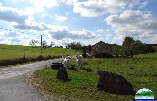 Domaine L'Impératrice - Foto 33