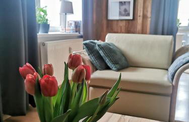 Mozaika Art Apartment PL LT EN - Foto 1