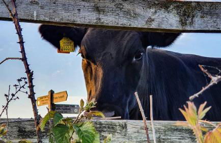 Cosy 2 BR cabin on coast private hot tub ' Driftwood ' - Photo 22