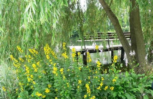 Agroturystyka w Dolinie Stawów - Photo 35