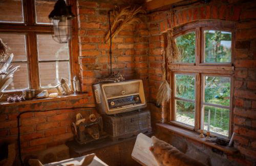 Niezapominajka - Foto 12