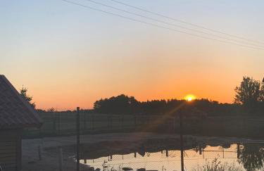 Pensjonat Przy Stajni - Foto 25