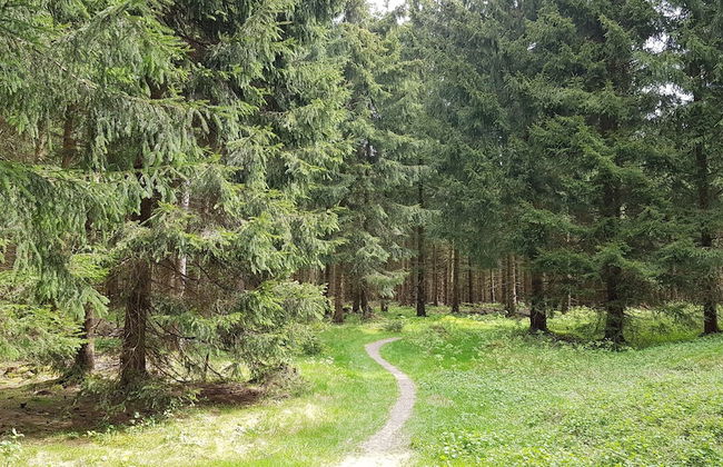 Ferienhaus Victoria - Foto 20