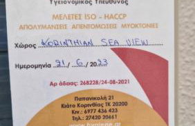 Korinthian sea view - Foto 48